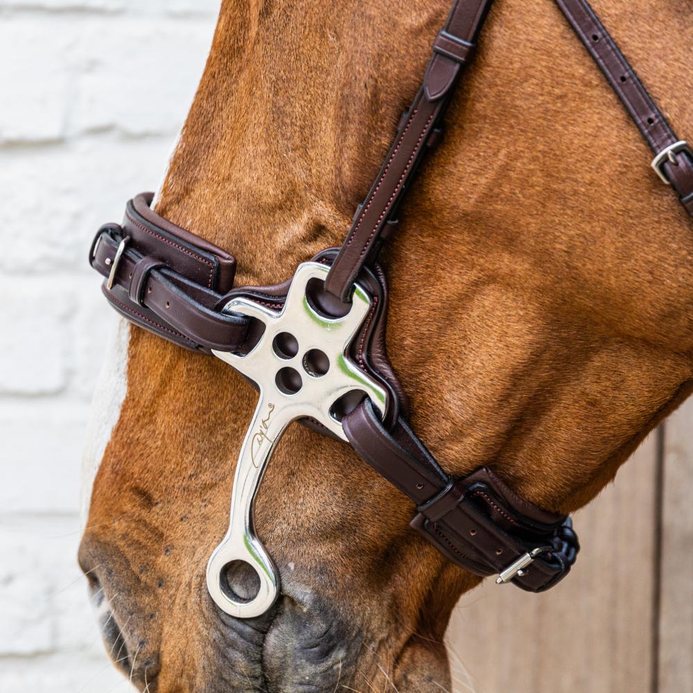 Dy'on New English Collection Hackamore - Equiluxe Tack