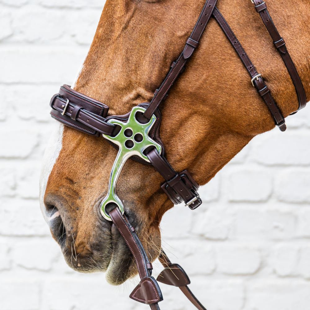 Dy'on New English Collection Hackamore - Equiluxe Tack