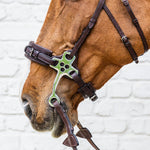 Dy'on New English Collection Hackamore - Equiluxe Tack