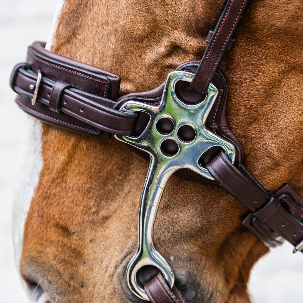 Dy'on New English Collection Hackamore - Equiluxe Tack
