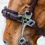 Dy'on New English Collection Hackamore - Equiluxe Tack