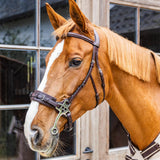 Dy'on New English Collection Hackamore - Equiluxe Tack