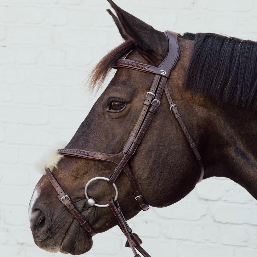 Dy'on New English Collection Plaited Figure 8 Noseband - Equiluxe Tack