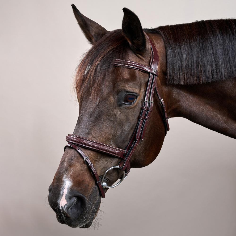 Dy'on New English Collection Plaited Flash Noseband Bridle - Equiluxe Tack