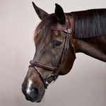 Dy'on New English Collection Plaited Flash Noseband Bridle - Equiluxe Tack