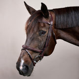Dy'on New English Collection Plaited Flash Noseband Bridle - Equiluxe Tack