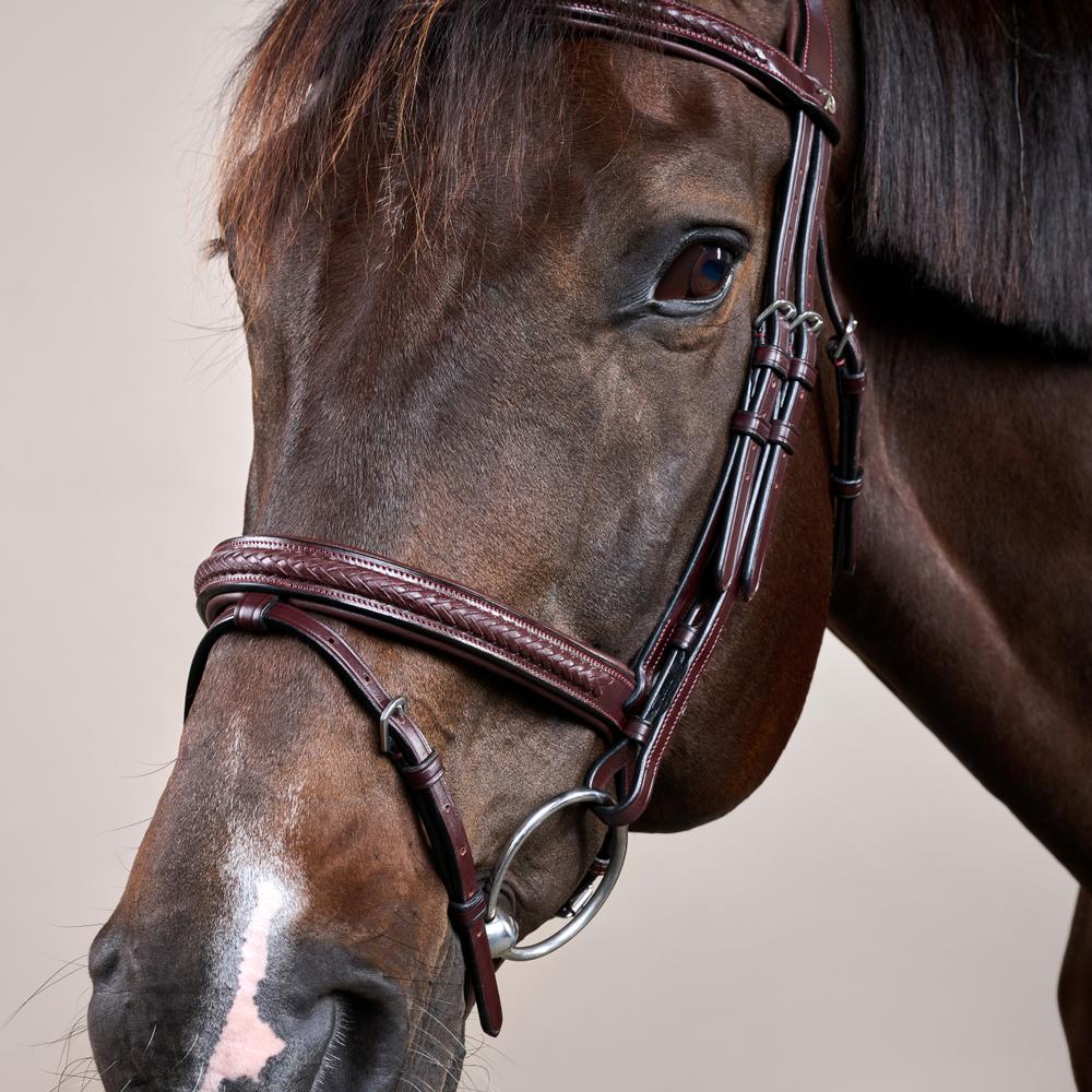 Dy'on New English Collection Plaited Flash Noseband Bridle - Equiluxe Tack
