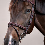 Dy'on New English Collection Plaited Flash Noseband Bridle - Equiluxe Tack