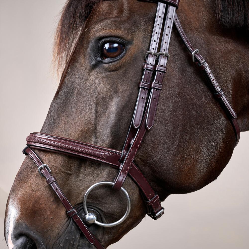 Dy'on New English Collection Plaited Flash Noseband Bridle - Equiluxe Tack