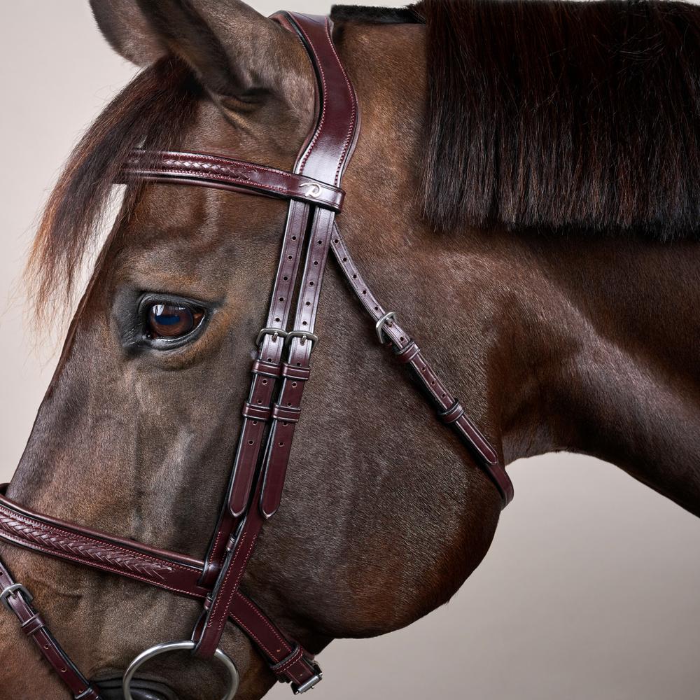 Dy'on New English Collection Plaited Flash Noseband Bridle - Equiluxe Tack