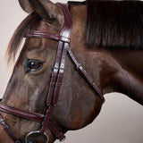 Dy'on New English Collection Plaited Flash Noseband Bridle - Equiluxe Tack