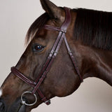 Dy'on New English Collection Plaited Noseband Bridle - Equiluxe Tack