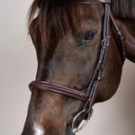 Dy'on New English Collection Plaited Noseband Bridle - Equiluxe Tack