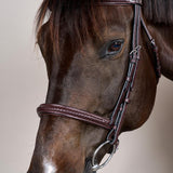 Dy'on New English Collection Plaited Noseband Bridle - Equiluxe Tack