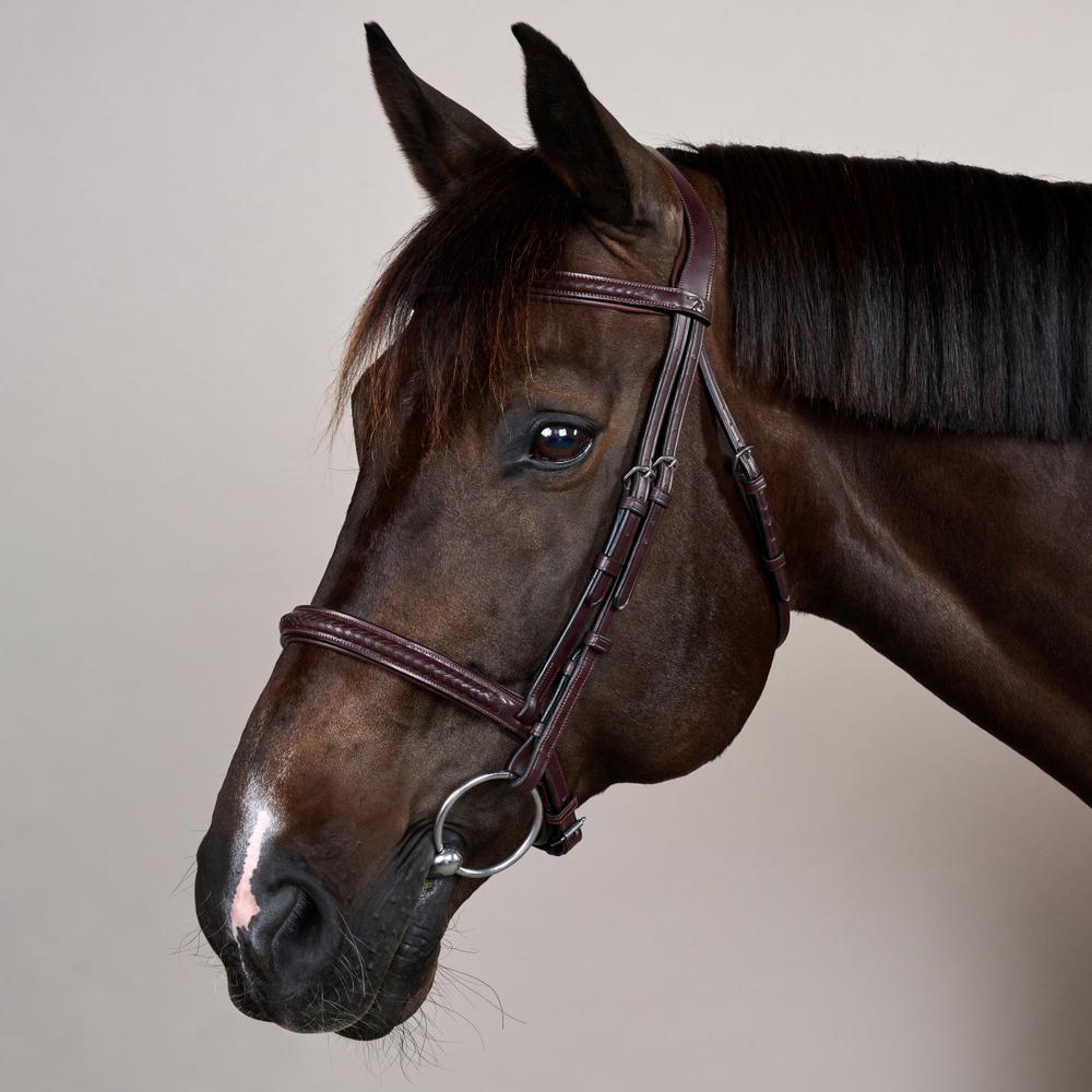 Dy'on New English Collection Plaited Noseband Bridle - Equiluxe Tack