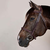 Dy'on New English Collection Plaited Noseband Bridle - Equiluxe Tack