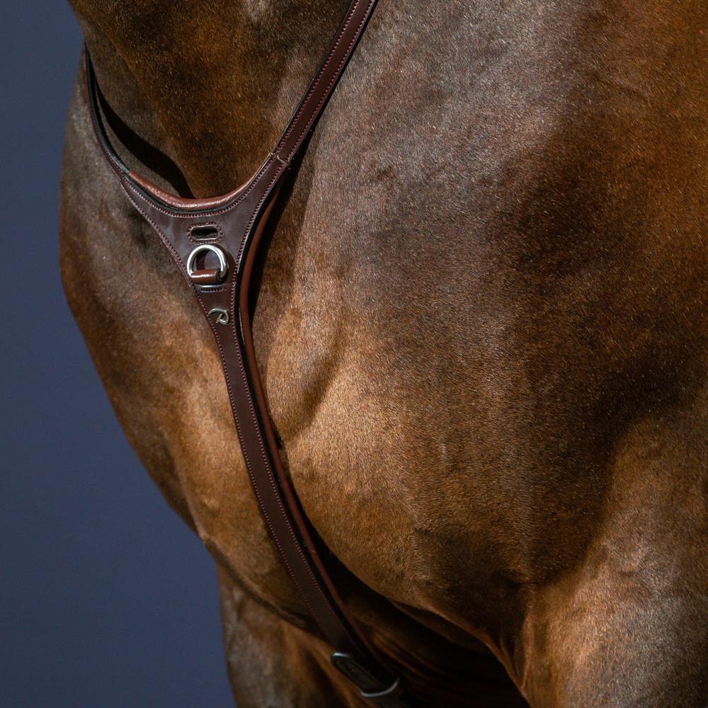 Dy'on New English Collection Yoke - Equiluxe Tack
