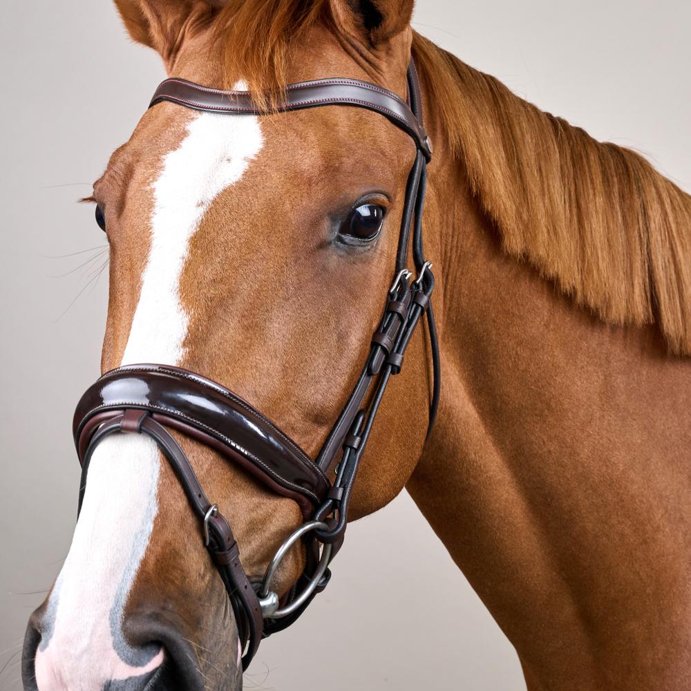 Dy'on Patent Large Crank Noseband Bridle With Flash - Equiluxe Tack