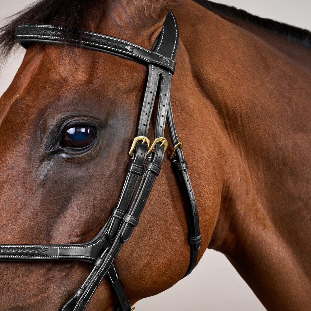 Dy'on Plaited Figure 8 Bridle D Collection - Equiluxe Tack