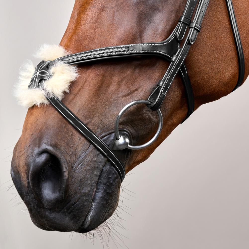 Dy'on Plaited Figure 8 Bridle D Collection - Equiluxe Tack