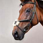 Dy'on Plaited Figure 8 Bridle D Collection - Equiluxe Tack