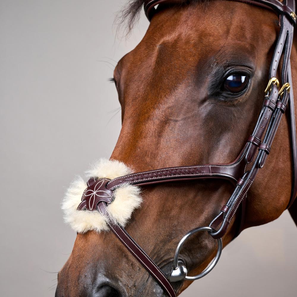 Dy'on Plaited Figure 8 Bridle D Collection - Equiluxe Tack
