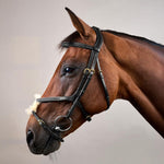 Dy'on Plaited Figure 8 Bridle D Collection - Equiluxe Tack
