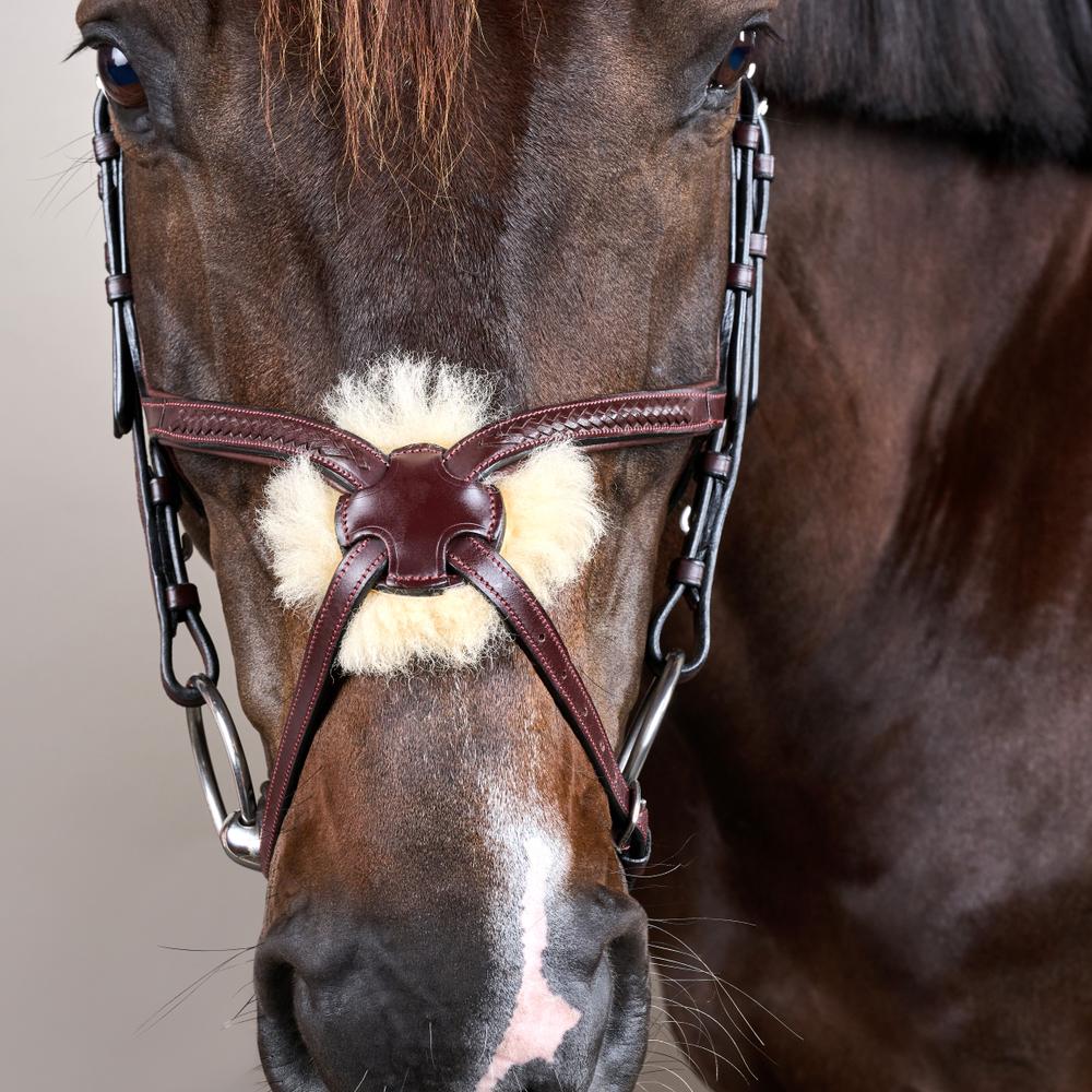 Dy'on Plaited Figure 8 Noseband Bridle New English Collection - Equiluxe Tack
