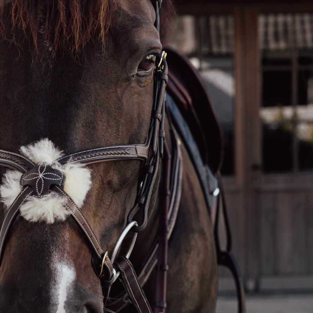 Dy'on Plaited Figure 8 Noseband - Equiluxe Tack