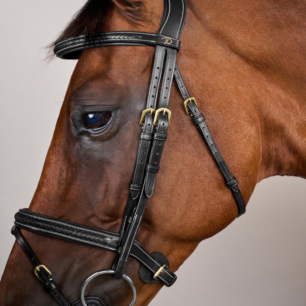 Dy'on Plaited Flash Noseband Bridle Full D Collection - Equiluxe Tack
