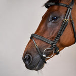 Dy'on Plaited Flash Noseband Bridle Full D Collection - Equiluxe Tack