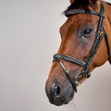 Dy'on Plaited Flash Noseband Bridle Full D Collection - Equiluxe Tack