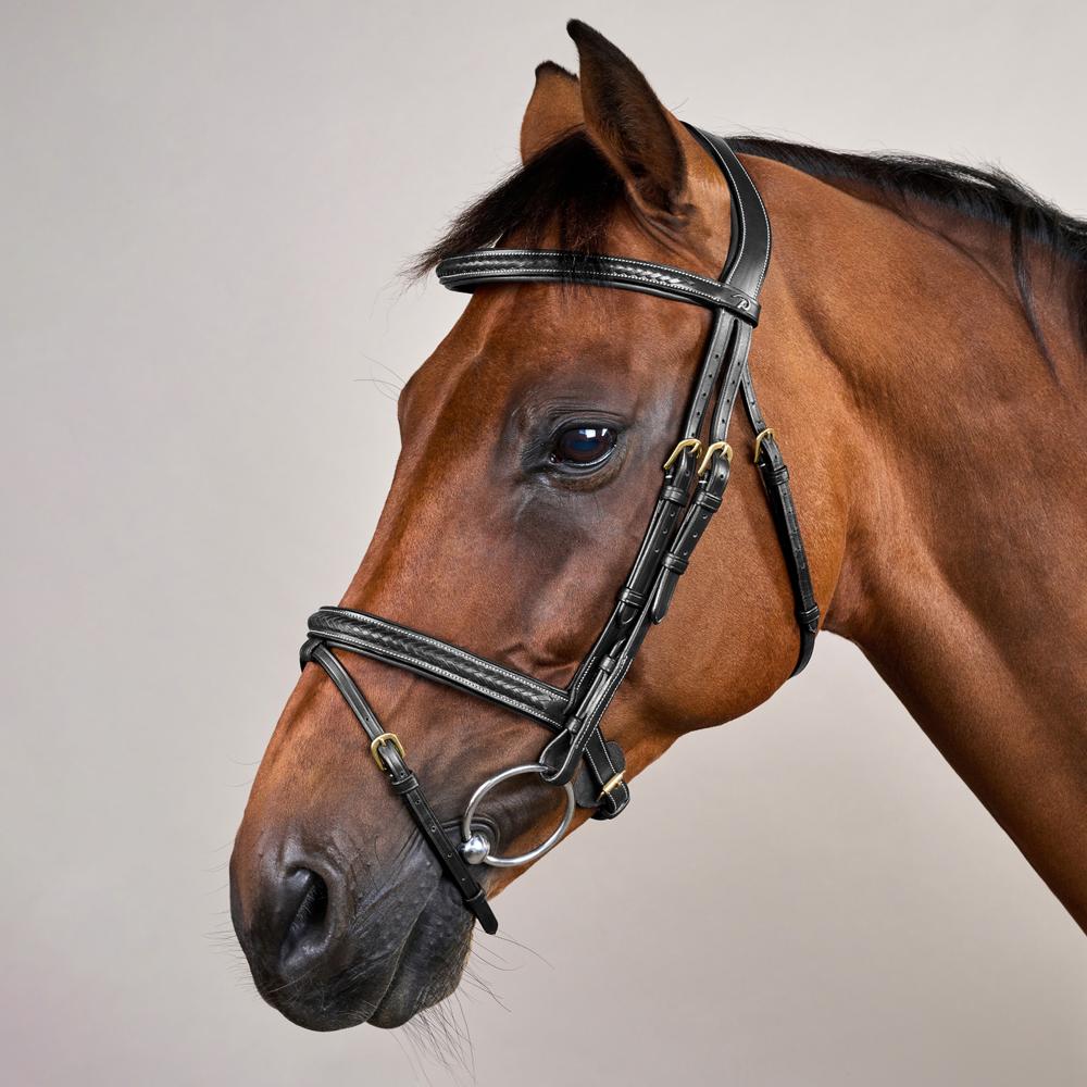 Dy'on Plaited Flash Noseband Bridle Full D Collection - Equiluxe Tack