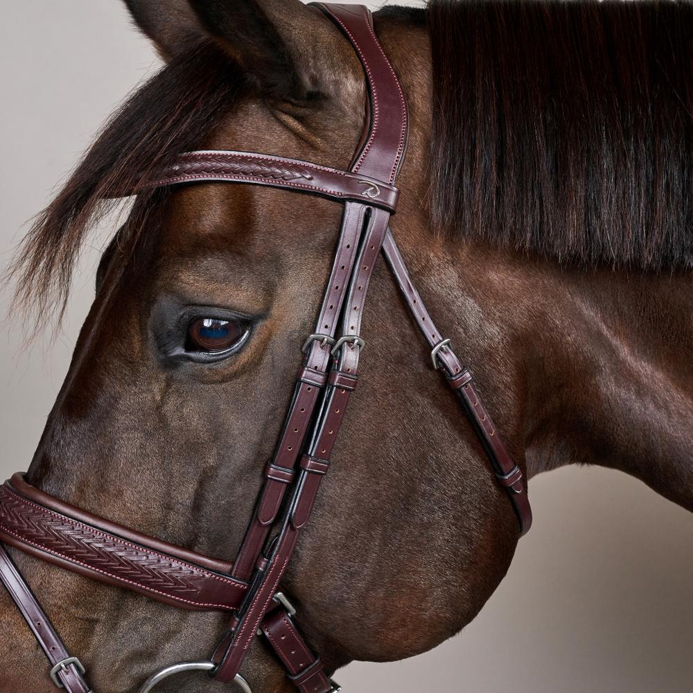Dy'on Plaited Flash Noseband Pull Back Bridle Pony New English Collection - Equiluxe Tack