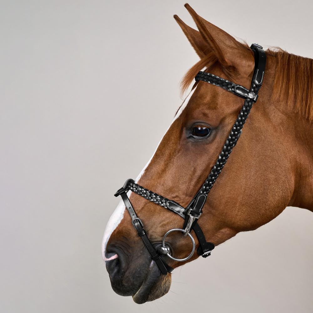 Dy'on Plaited Training Bridle Clip Cheekpieces - Equiluxe Tack