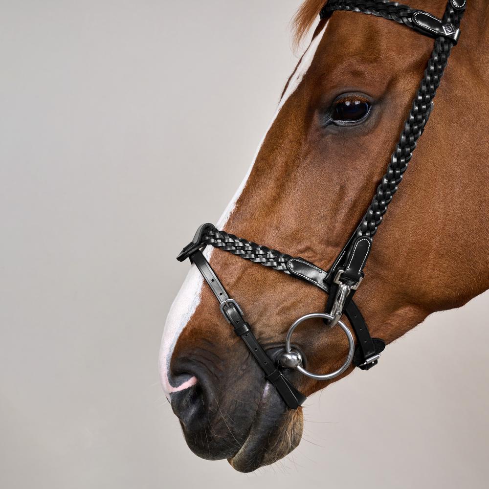 Dy'on Plaited Training Bridle Clip Cheekpieces - Equiluxe Tack