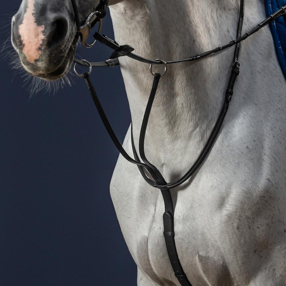 Dy'on Running Martingale New English Collection - Equiluxe Tack