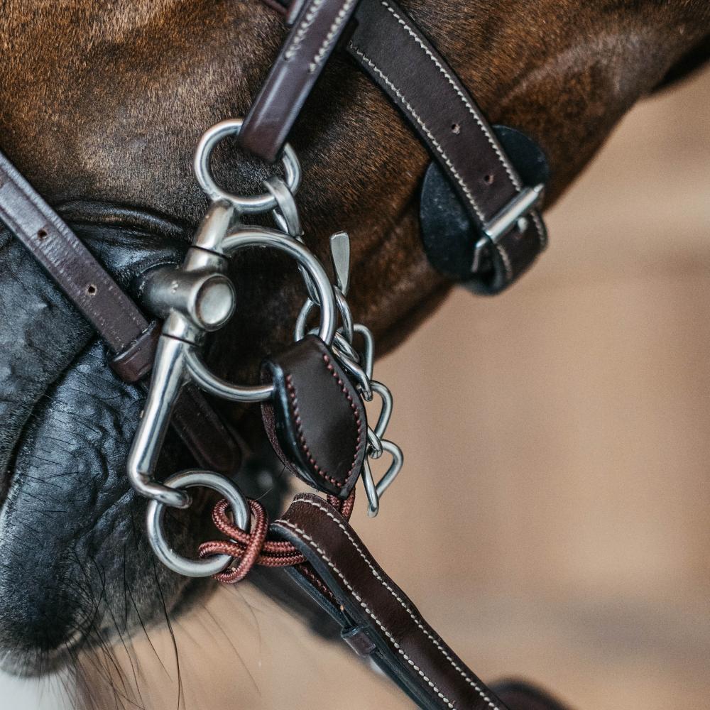 Dy'on Short Pelham Strap - Equiluxe Tack