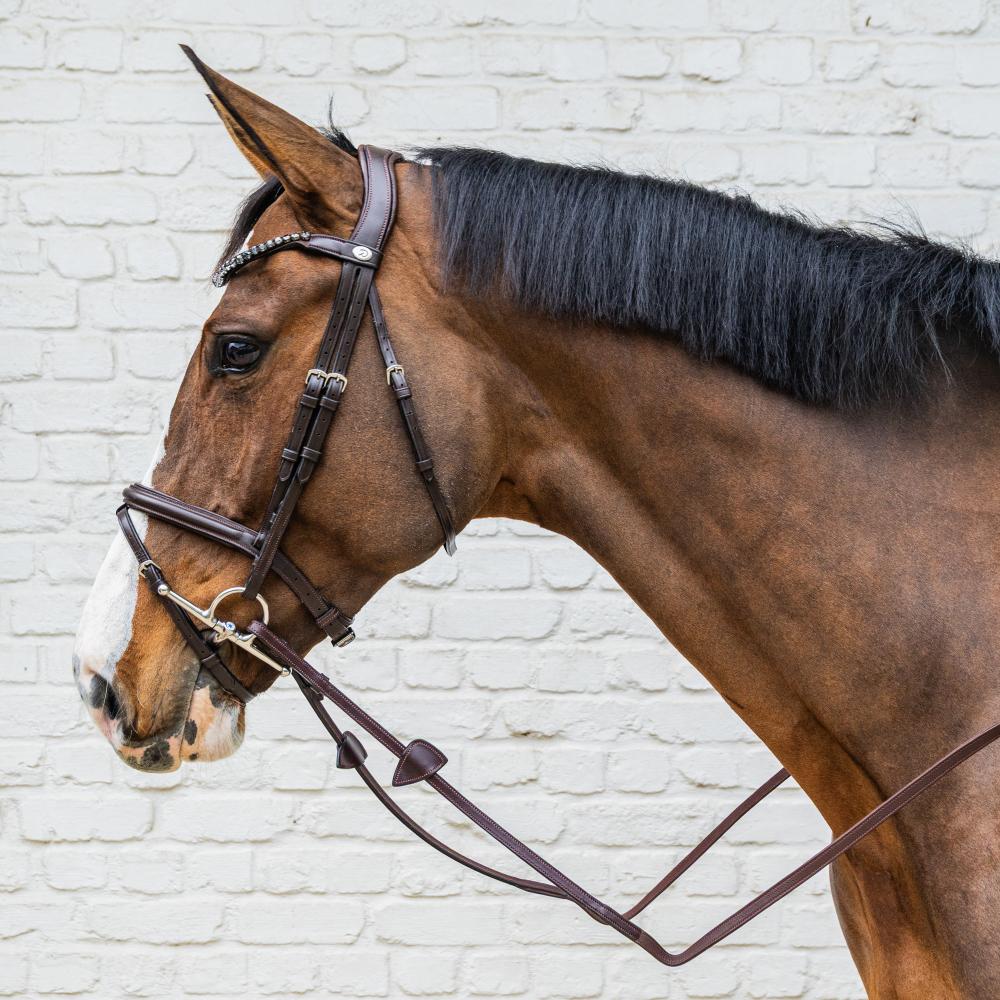 Dy'on Soft Collection Medium Flash Noseband Bridle - Equiluxe Tack