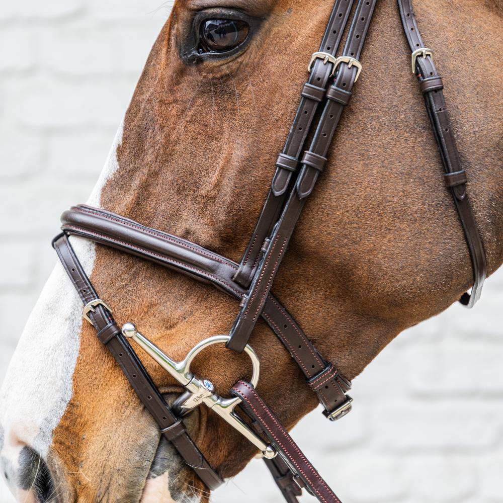Dy'on Soft Collection Medium Flash Noseband Bridle - Equiluxe Tack
