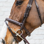 Dy'on Soft Collection Medium Flash Noseband Bridle - Equiluxe Tack