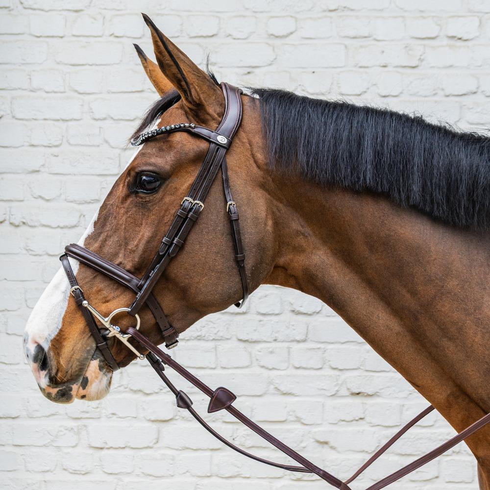 Dy'on Soft Collection Medium Flash Noseband Bridle - Equiluxe Tack