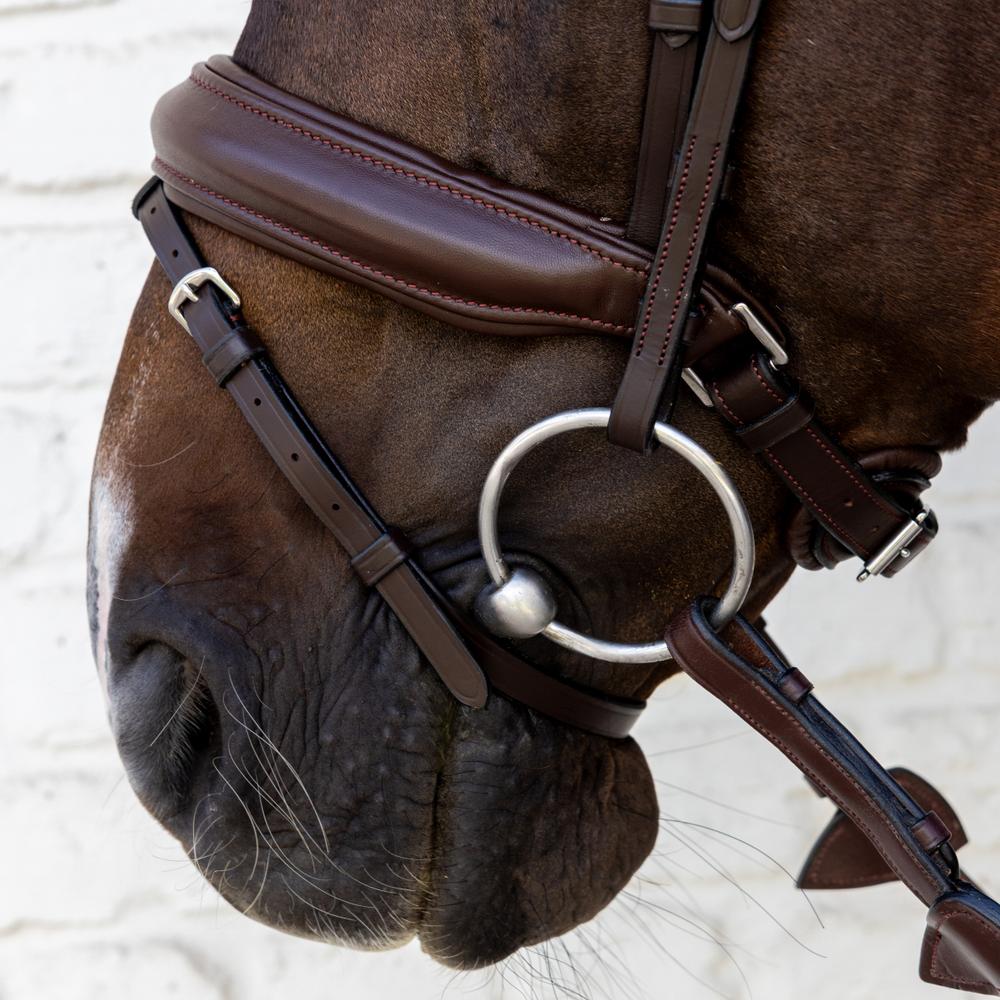 Dy'on Soft Collection Medium Noseband Bridle - Equiluxe Tack