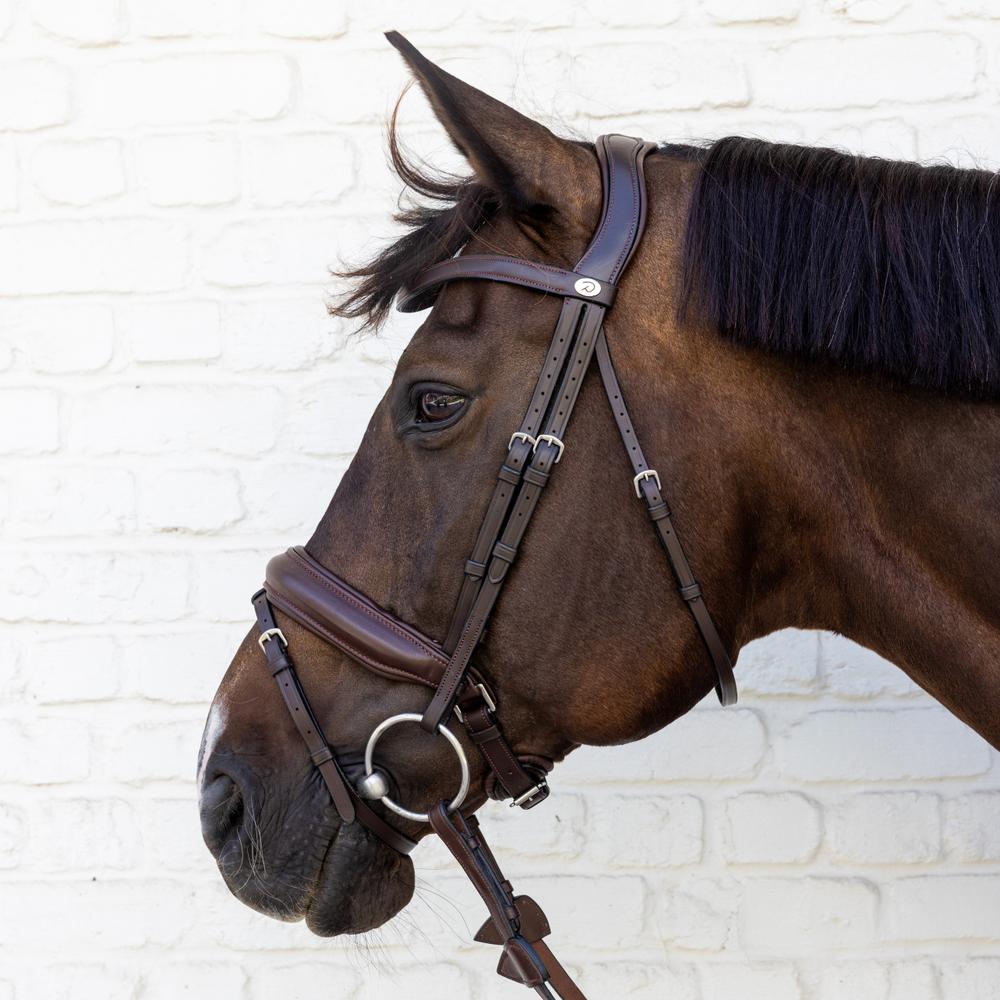 Dy'on Soft Collection Medium Noseband Bridle - Equiluxe Tack
