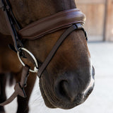Dy'on Soft Collection Medium Noseband Bridle - Equiluxe Tack
