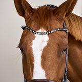 Dy'on Soft Collection Round Stitched Large Crank Noseband Bridle - Equiluxe Tack