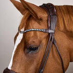 Dy'on Soft Collection Round Stitched Large Crank Noseband Bridle - Equiluxe Tack