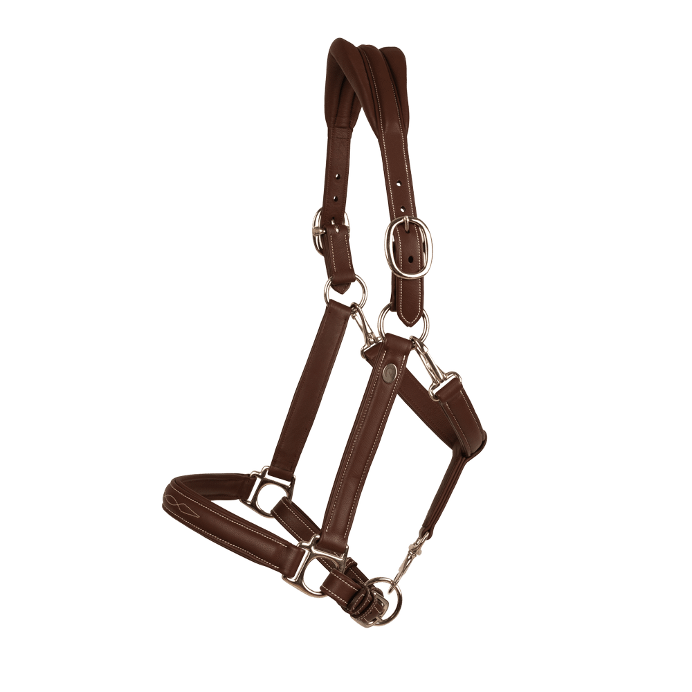 Dy'on Soft Leather Halter - Equiluxe Tack