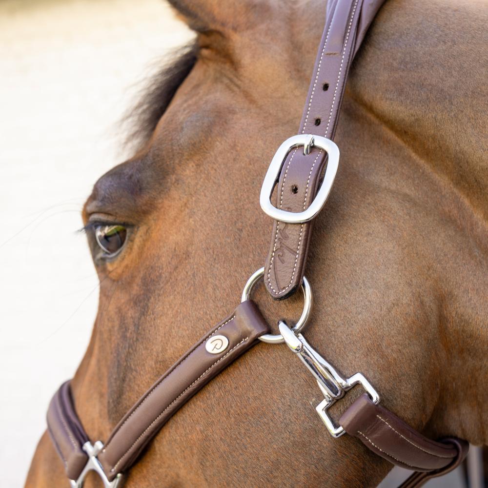 Dy'on Soft Leather Halter - Equiluxe Tack