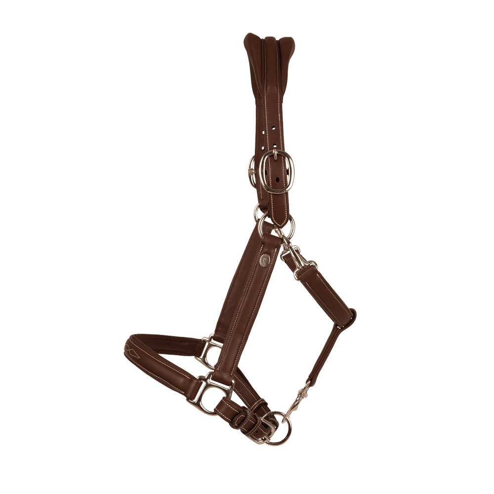 Dy'on Soft Leather Halter - Equiluxe Tack